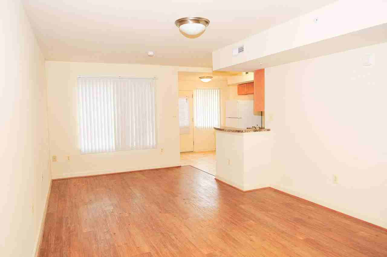 The Larkspur - Photo 5 of 10