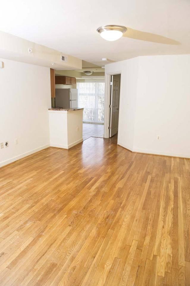 The Larkspur - Photo 7 of 10