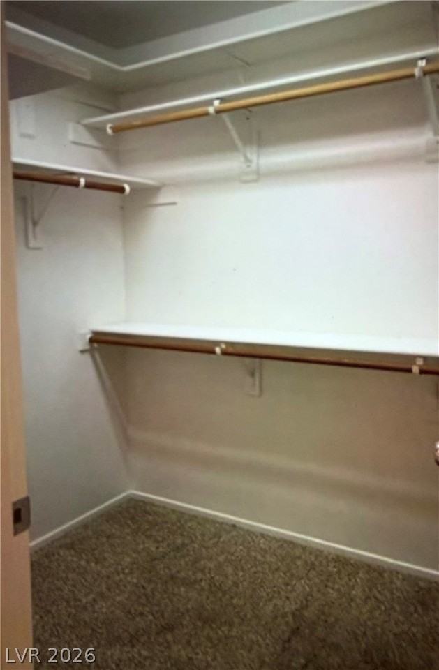 11885 Bella Luna St - Photo 3 of 10