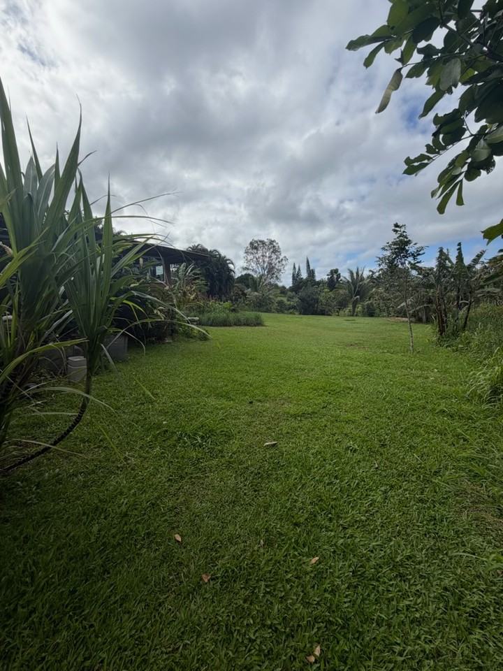 20 Leahi Pl #1 - Photo 3 of 29