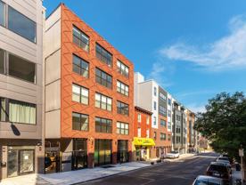 The Maven - Photo 1 of 1