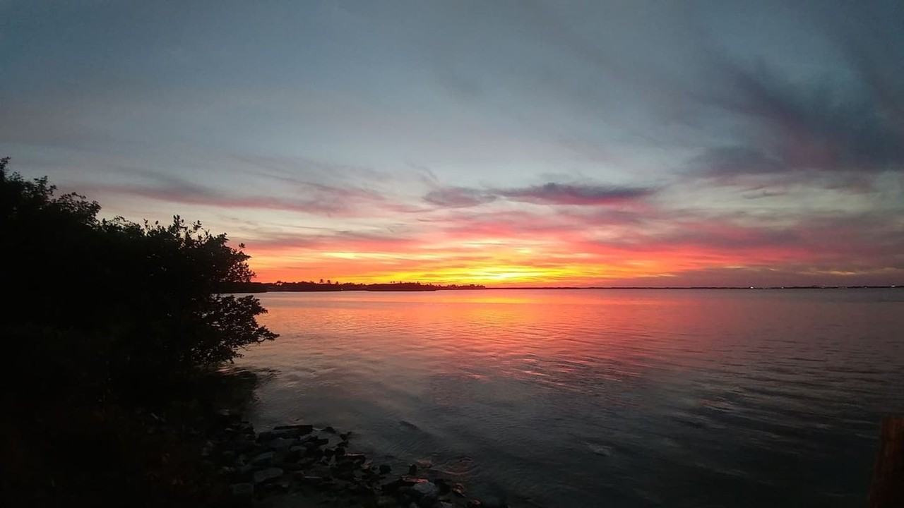 8600 Ridgewood Ave #1346822P - Photo 3 of 23