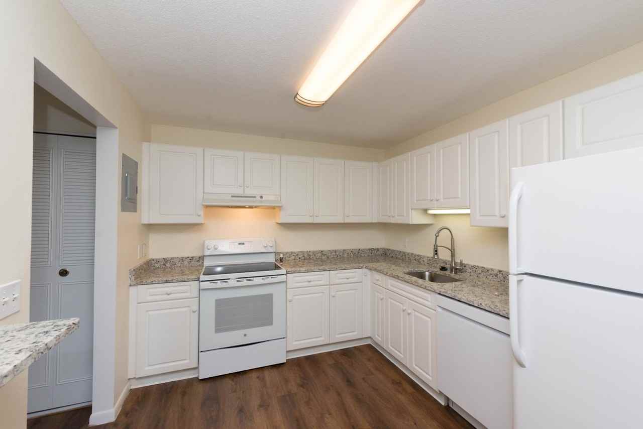 Chestnut Hill South - Photo 5 of 38