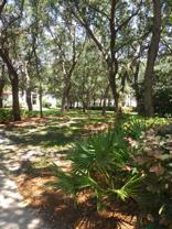 1854 Carnation St - Photo 1 of 1