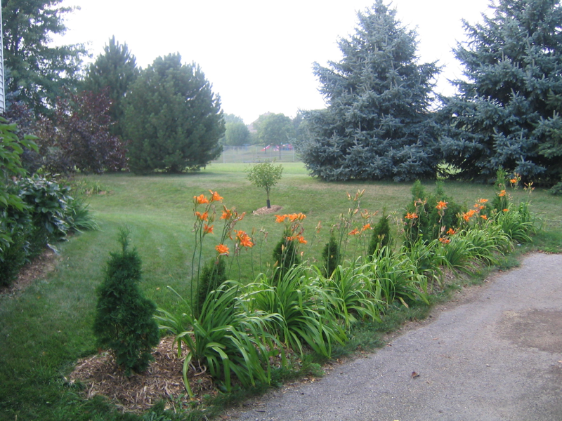 Muir Field Rd - Photo 4 of 17