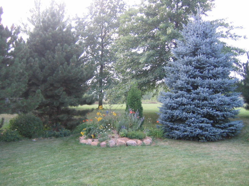 Muir Field Rd - Photo 5 of 17