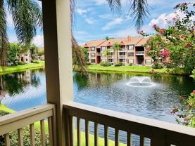 10200 Gandy Blvd N #1028 - Photo 1 of 1