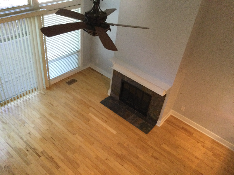 745 E Warm Springs Ave - Photo 6 of 13