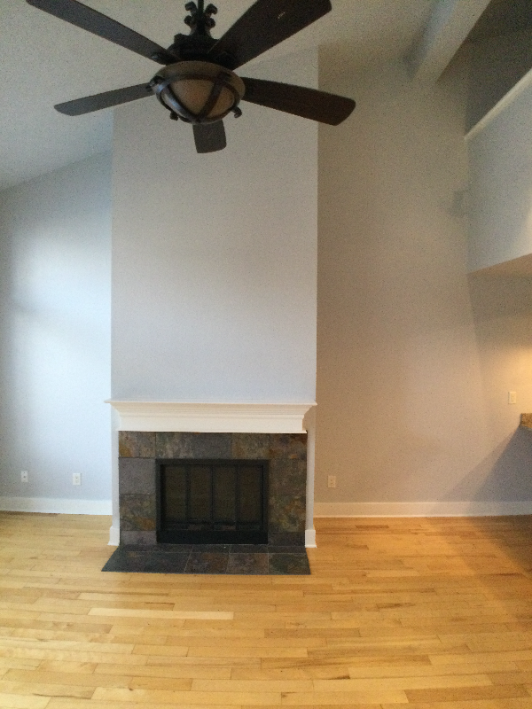 745 E Warm Springs Ave - Photo 7 of 13