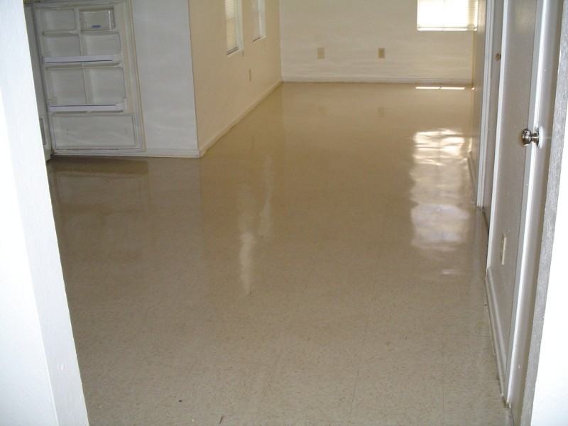 9645 Mallard Loop - Photo 5 of 17