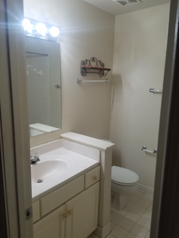 1703 Blue Flint Ct - Photo 6 of 13
