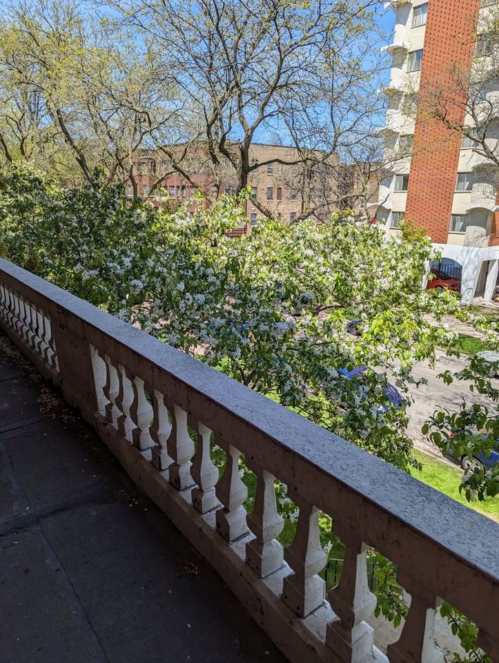 San Rafael Apartments - Photo 7 of 50