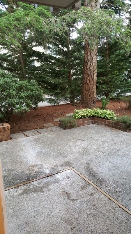 1461 Rainier Ct #2 - Photo 5 of 8