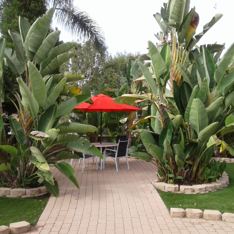 2696 Magellan Ln - Photo 2 of 39