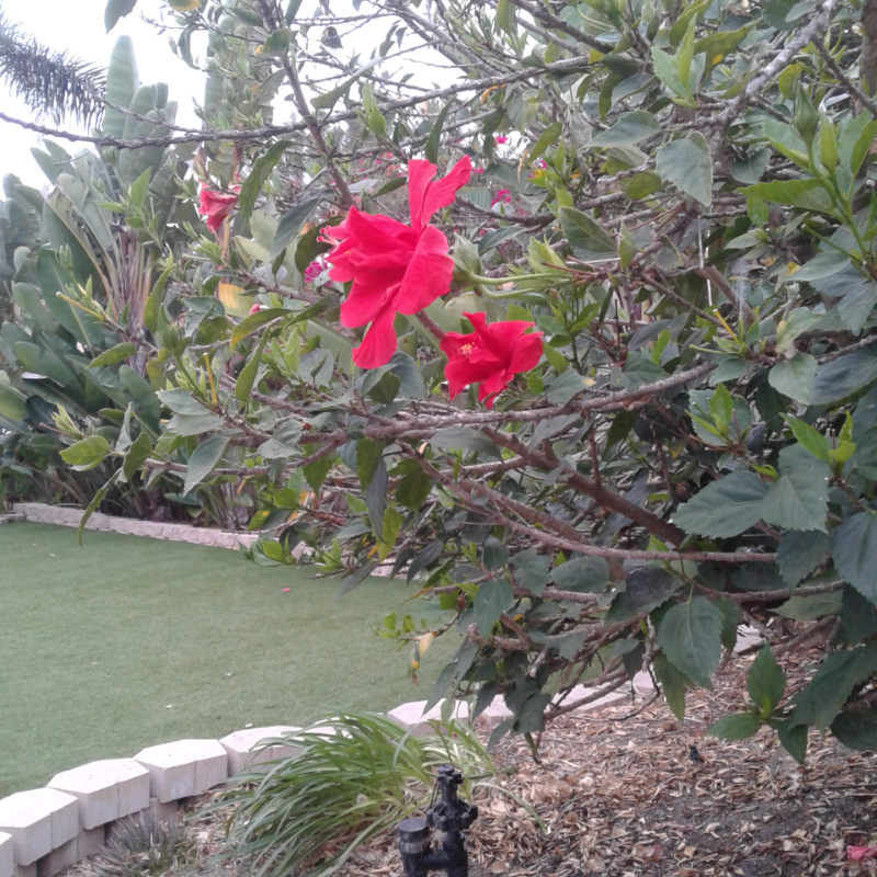 2696 Magellan Ln - Photo 3 of 39