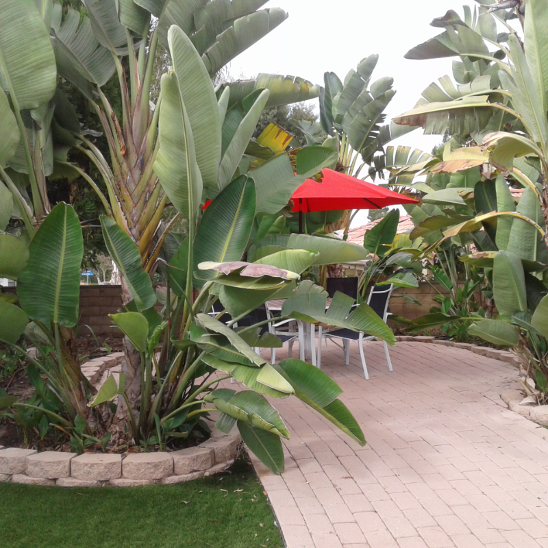 2696 Magellan Ln - Photo 5 of 39