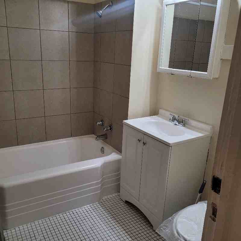 4319 S Michigan Ave #3 - Photo 6 of 16