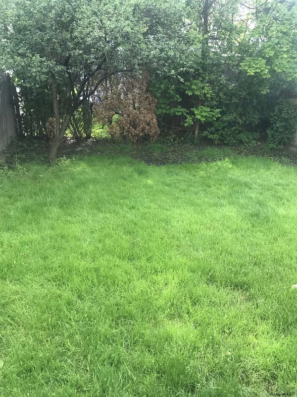 Southern Blvd #1 - Photo 2 of 8