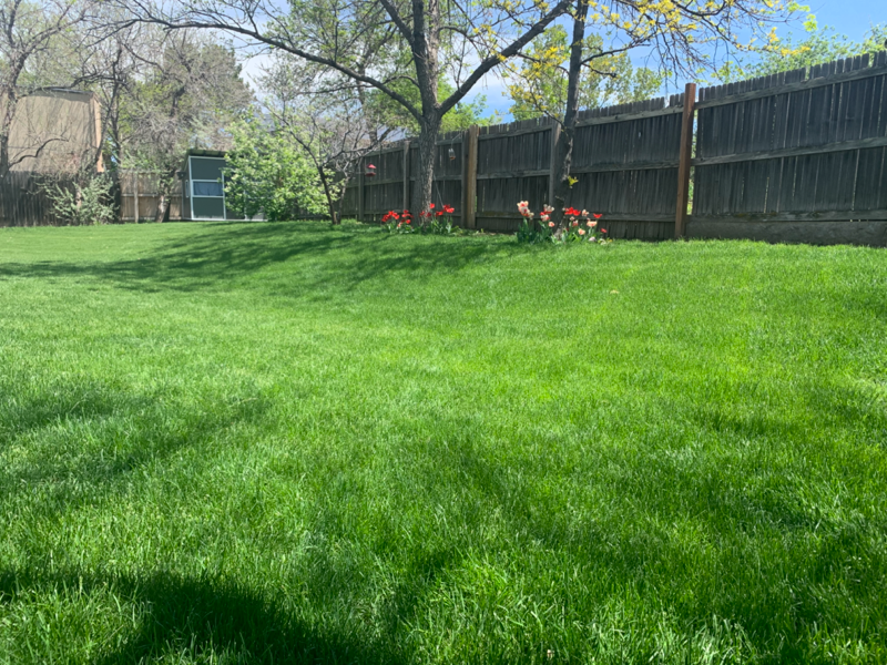 13542 Hazel Pl - Photo 3 of 9