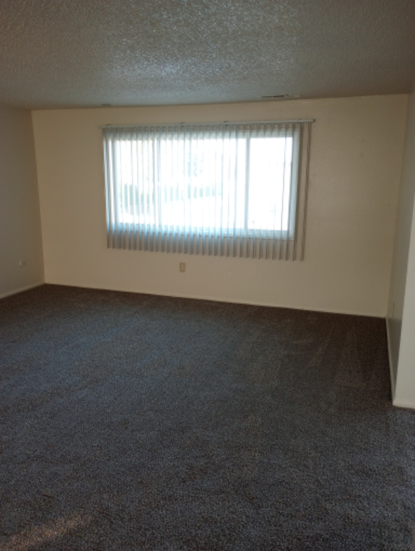 703 N Tweedt St #105