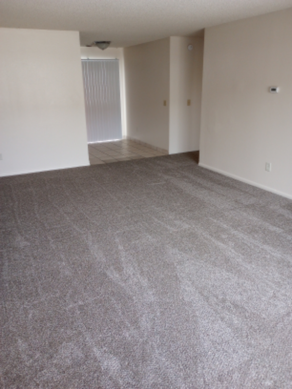 703 N Tweedt St #105 - Photo 2 of 8