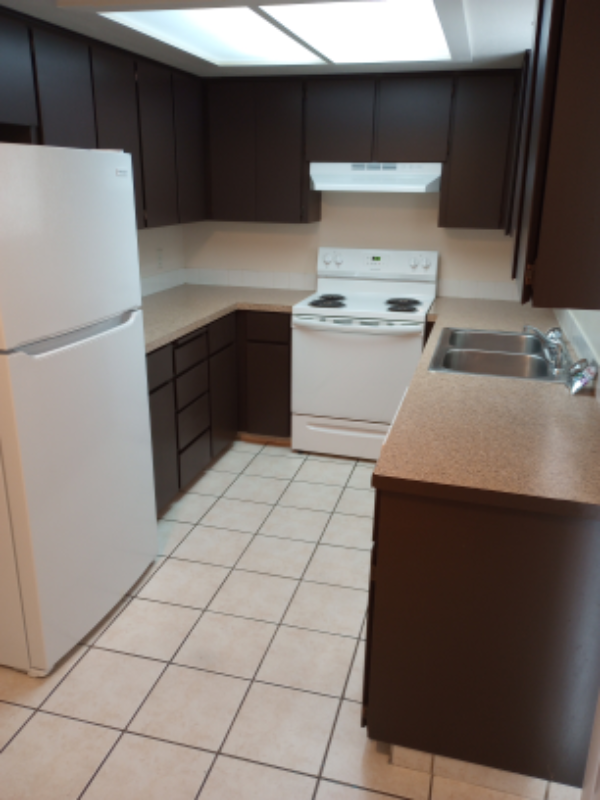 703 N Tweedt St #105 - Photo 4 of 8