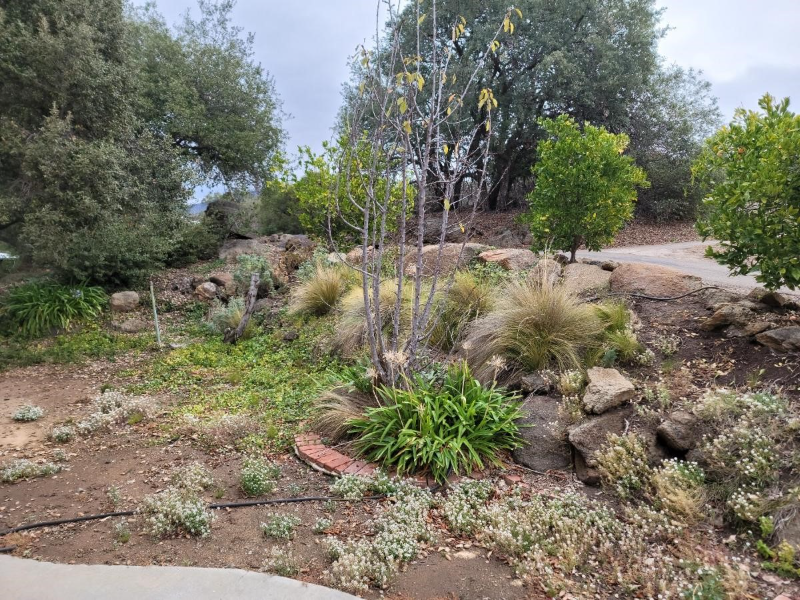 4209 Alpine Blvd - Photo 3 of 17