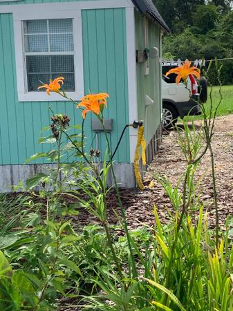 26364 Hwy #B - Photo 2 of 18