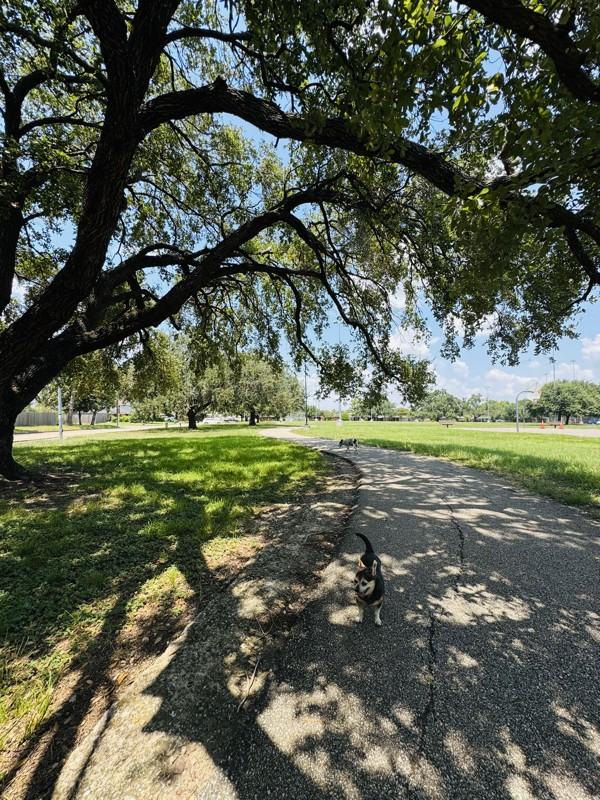 4017 Osby Dr - Photo 5 of 18