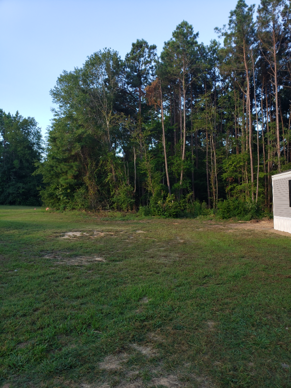 2715 W Mccrainie St - Photo 3 of 21