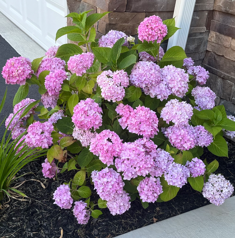 405 Spirit Way - Photo 6 of 15