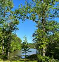 4241 Springhill Dr #B - Photo 1 of 1