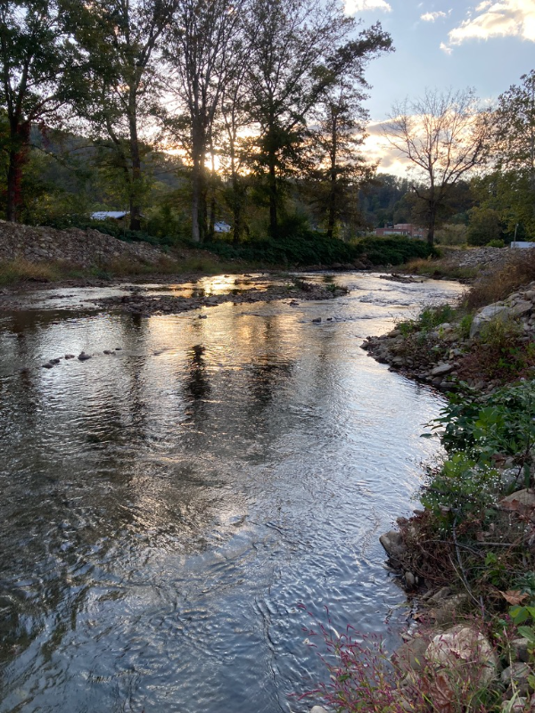 12A Spruce St - Photo 2 of 40