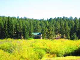 featured image of 15729 Pine Lake Dr