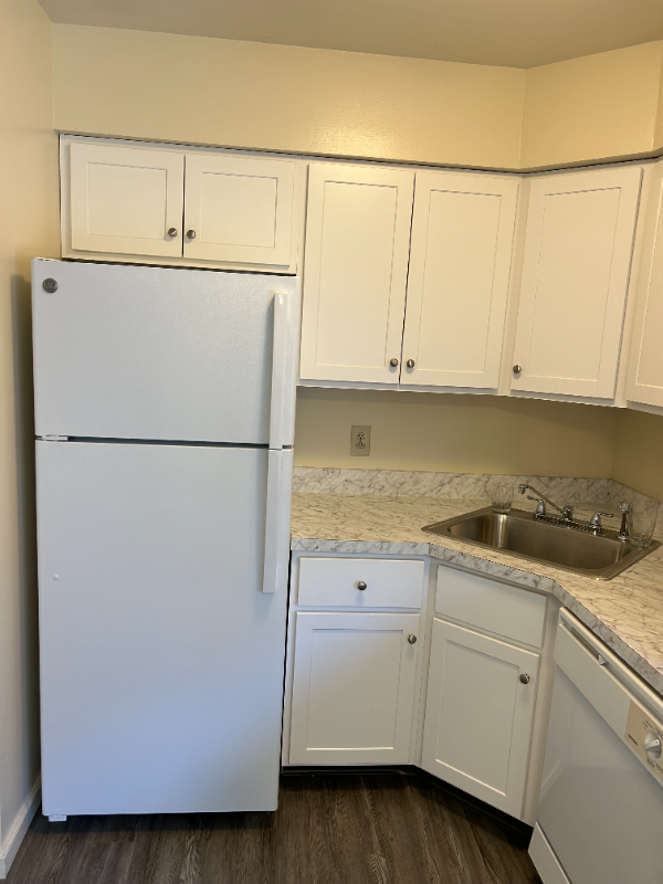 3729 Carman Rd #4 - Photo 2 of 14