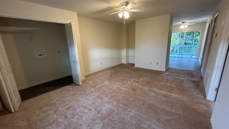 3729 Carman Rd #4 - Photo 5 of 14