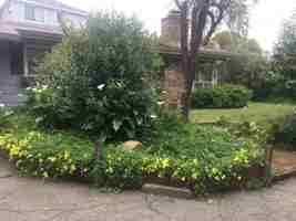 featured image of 0000 Overlook Dr #C