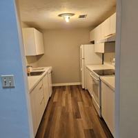 featured image of Janine Dr