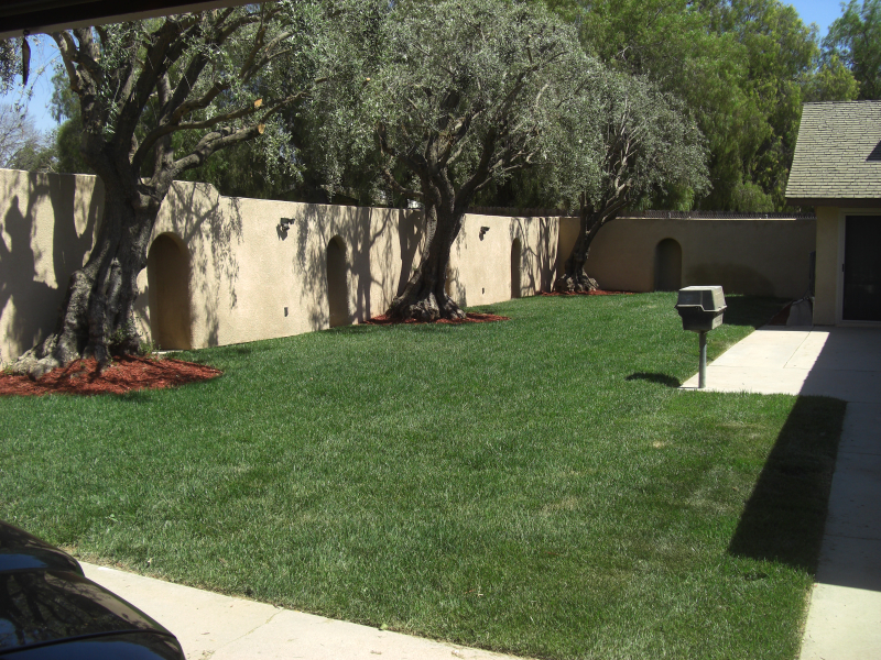 16180 Washington St - Photo 4 of 12