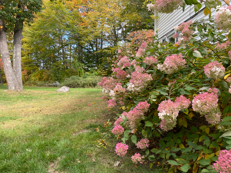 18 Plaza Village Rd #C - Photo 6 of 9