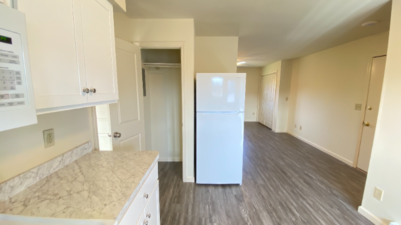 3724 Carman Rd #4 - Photo 5 of 25