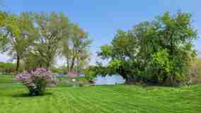 8806 Carole Cir - Photo 1 of 1