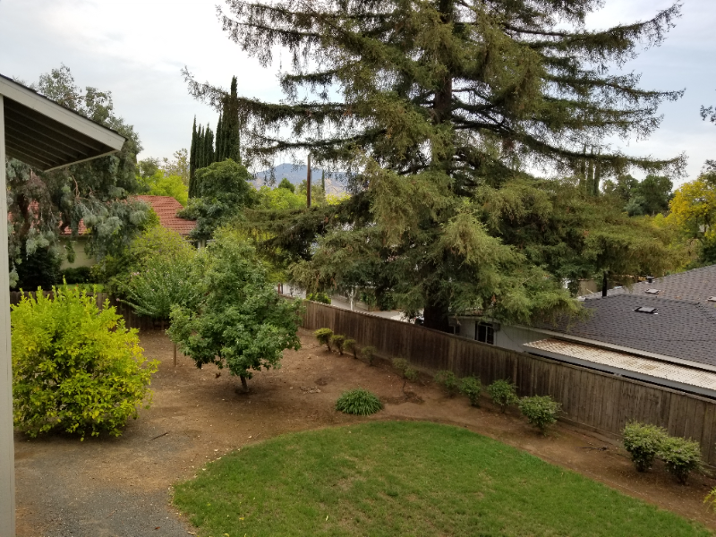 3720 Clayton Rd #11 - Photo 3 of 10