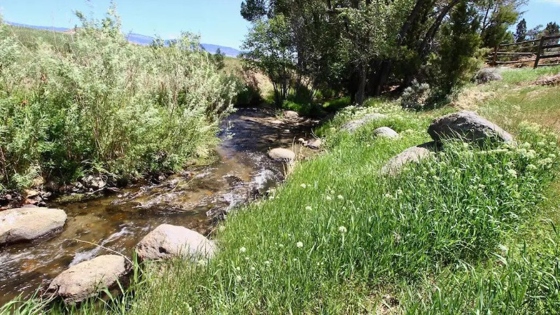 783 Montana #C - Photo 3 of 36