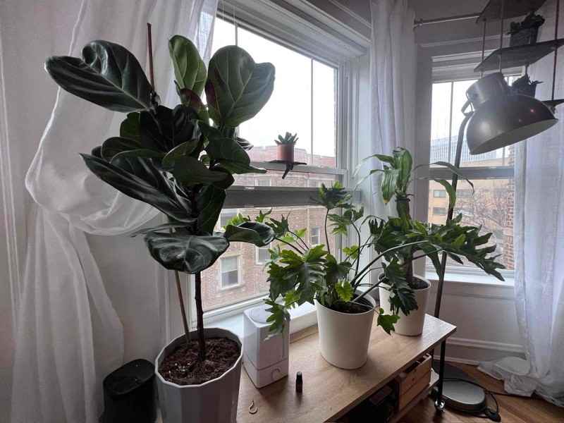 541 W Addison St #3S - Photo 5 of 36