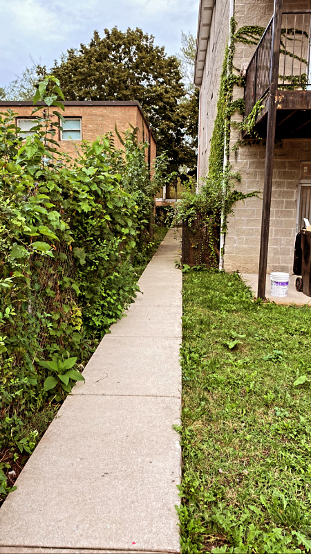 8036 S Kingston Ave #3 - Photo 5 of 13