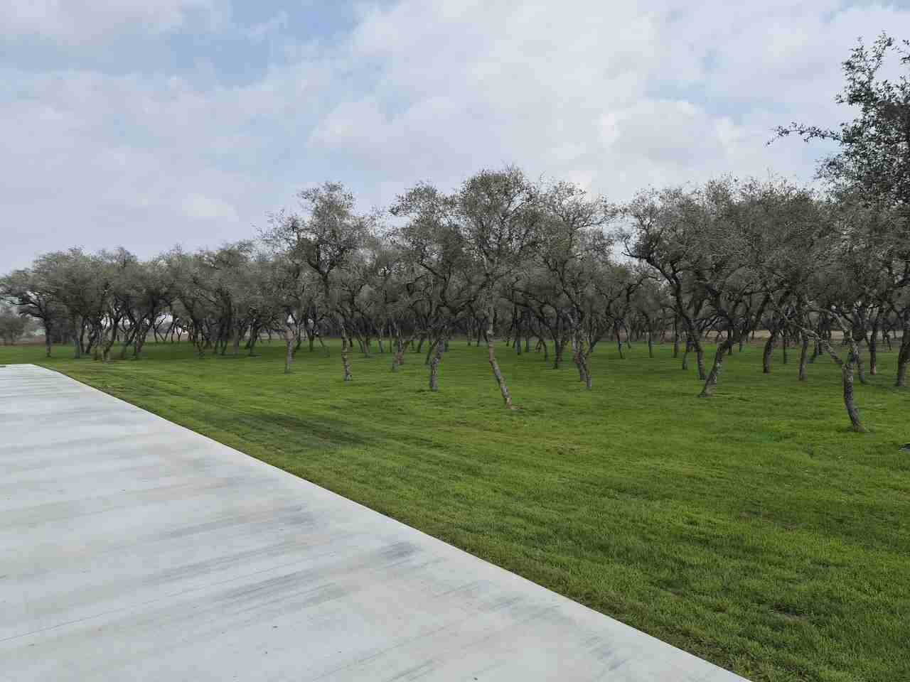 520 Essence Dr #NA - Photo 2 of 12