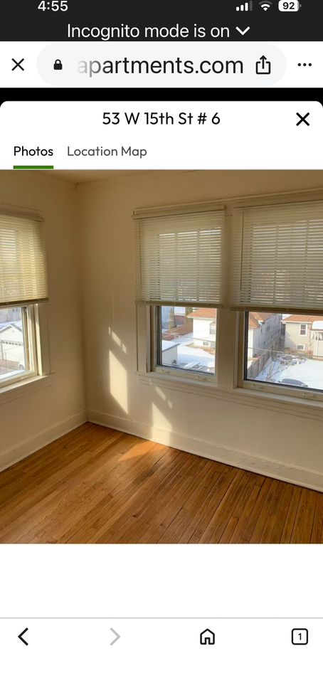 53 W 15th St #2 - Photo 4 of 5