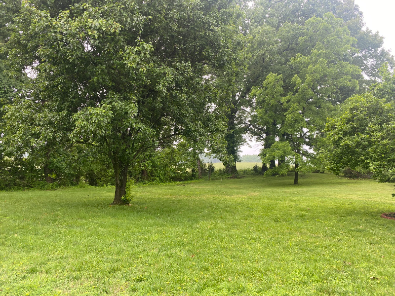 224 Park Circle Dr W - Photo 2 of 6