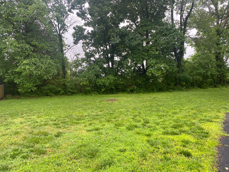 224 Park Circle Dr W - Photo 3 of 6